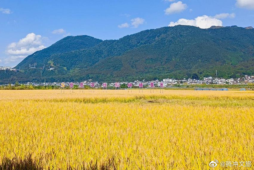 腾冲文旅微博