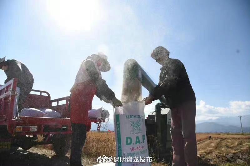 昆明盘龙发布