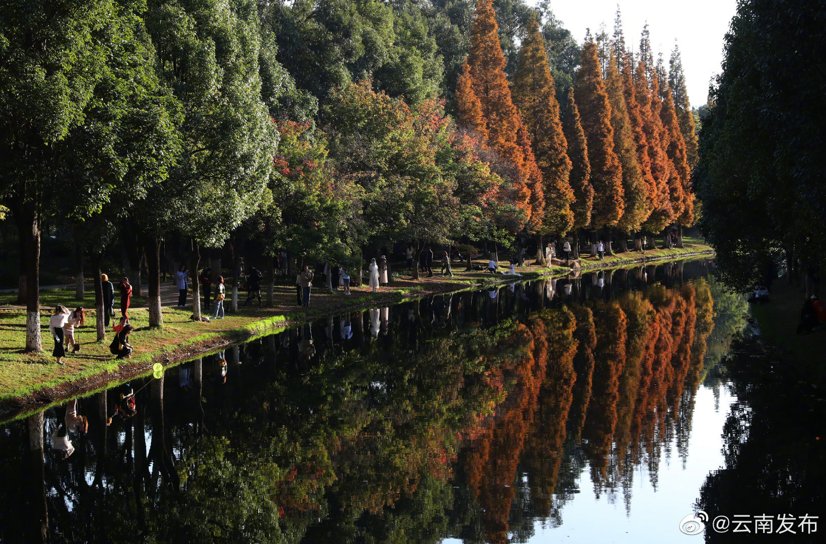 “云南发布”微博