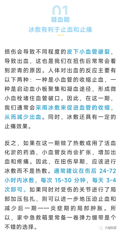 大理日报