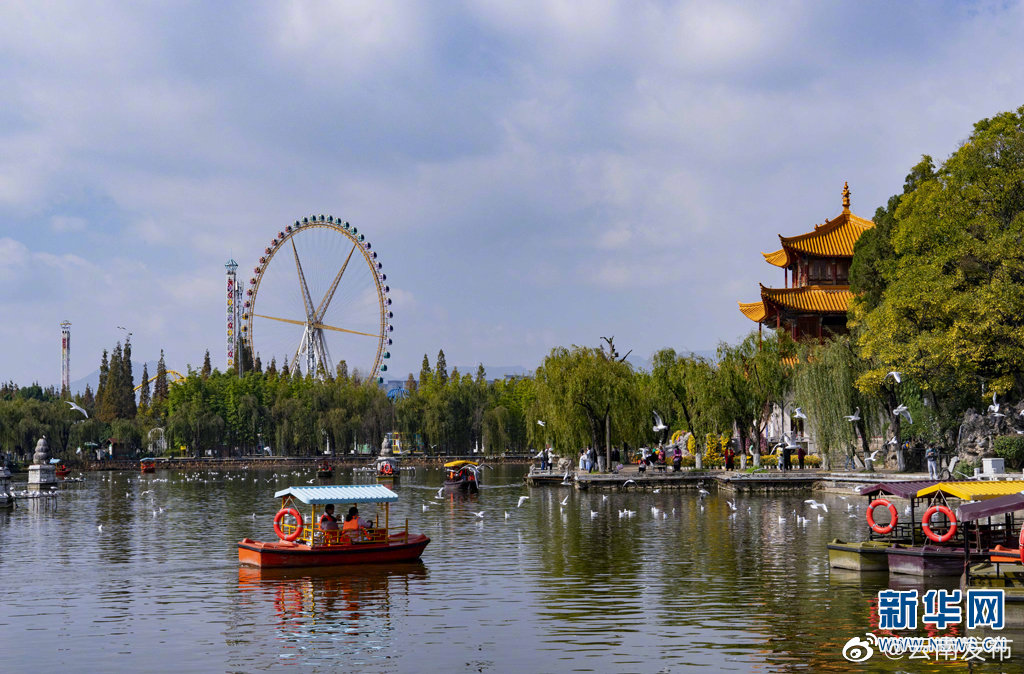 “云南发布”微博