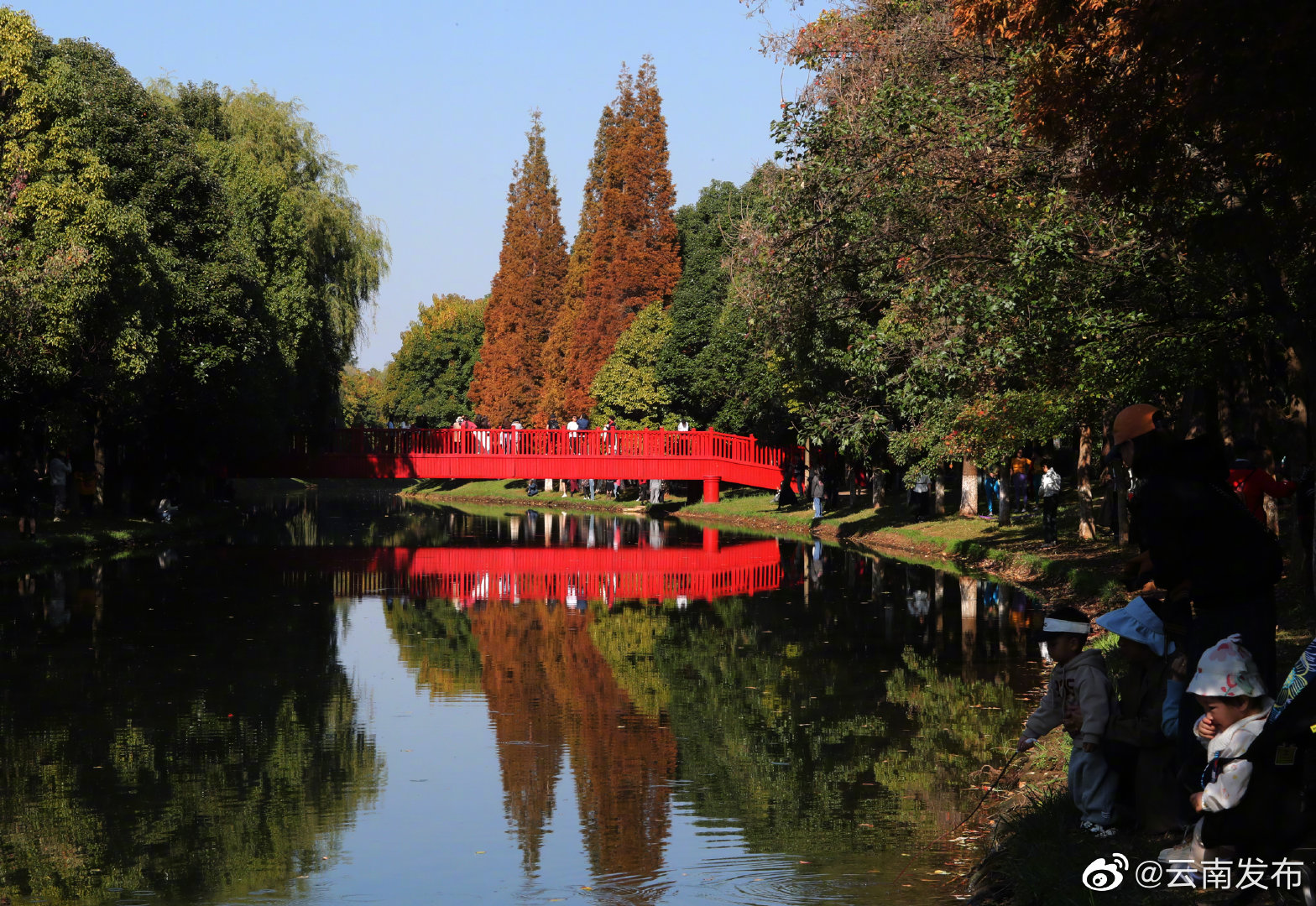 “云南发布”微博