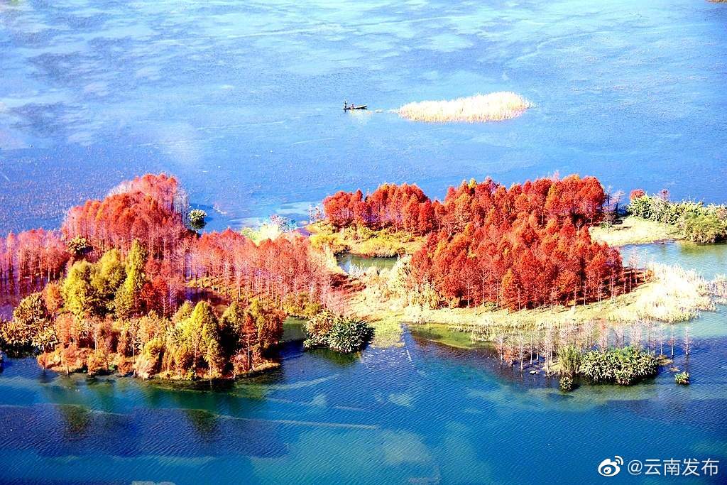 “云南发布”微博