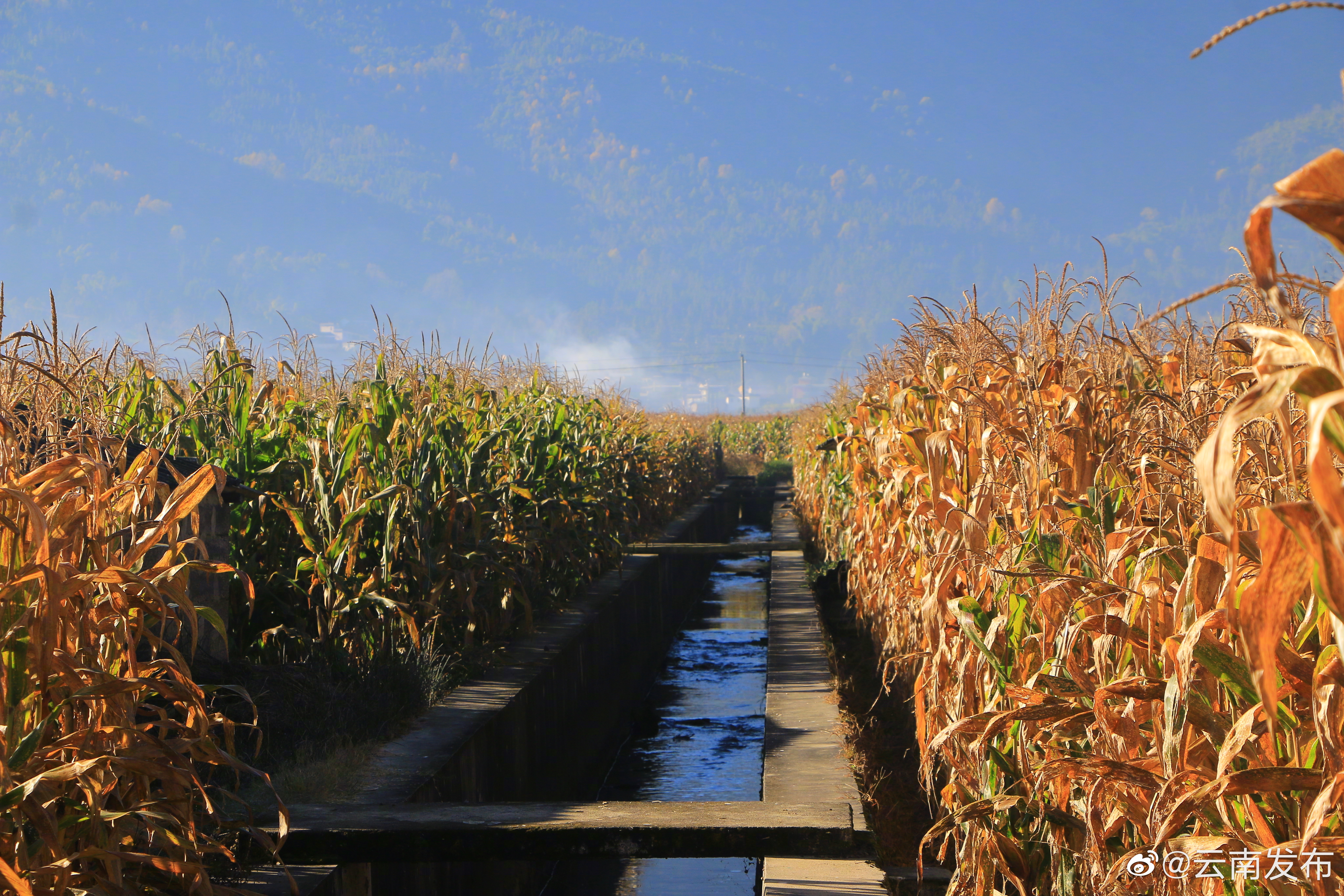 “云南发布”微博