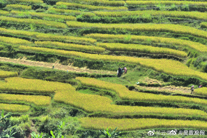 云南一地上榜农耕文化实践营地推荐名单