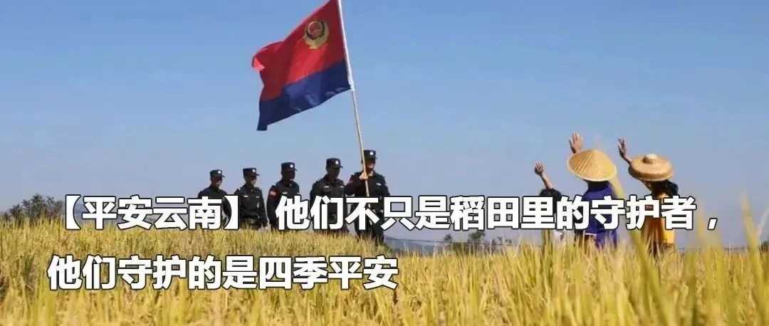 云南政法