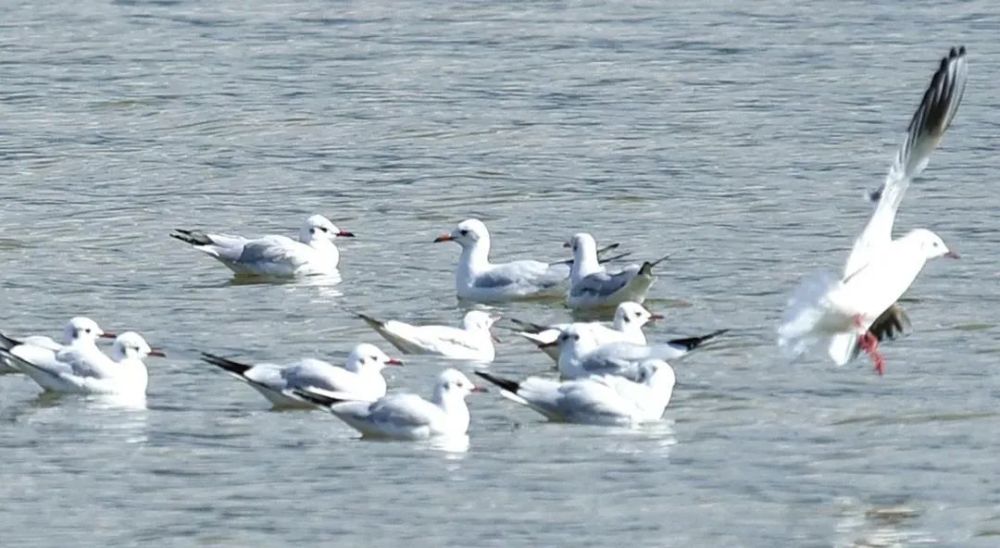 云南省文化和旅游厅