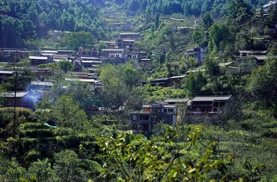 一部手机游云南