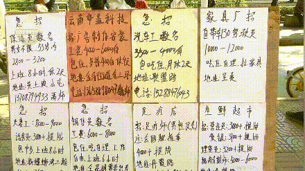 昆明信息港/cnkmxxg