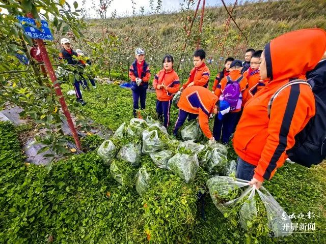 盘龙教育(微信)