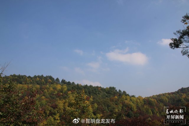 昆明盘龙发布