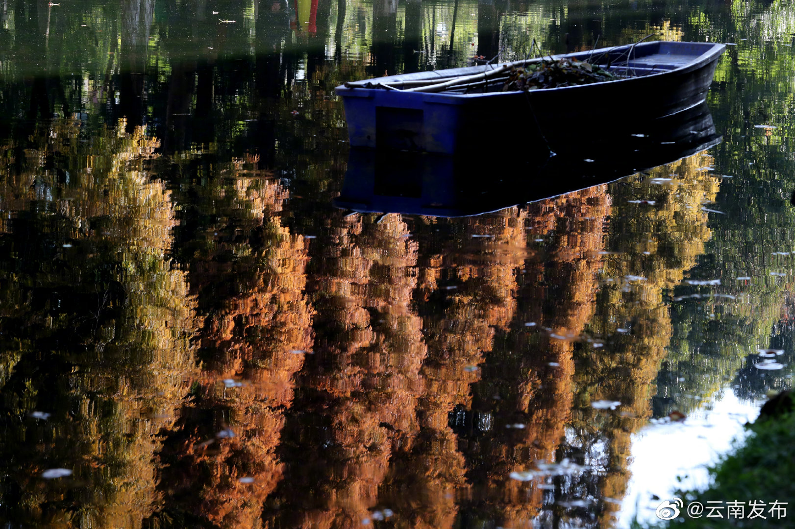 “云南发布”微博