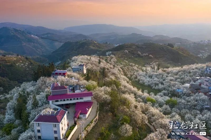 昆明信息港/cnkmxxg