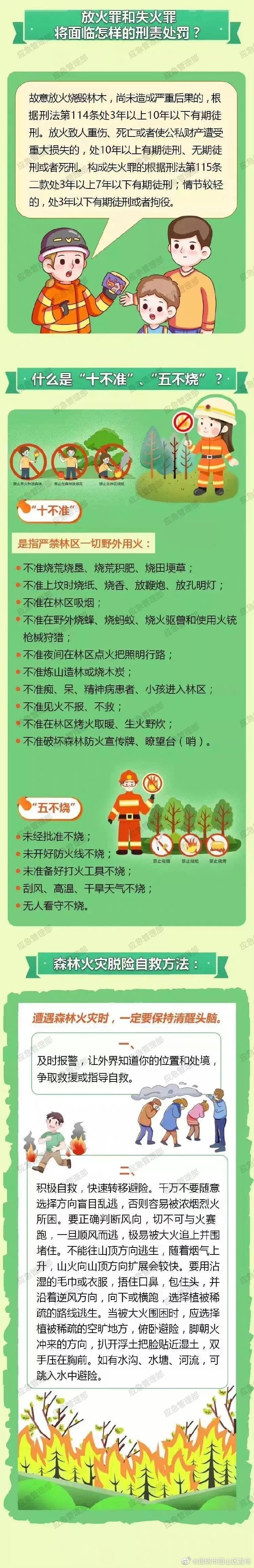 引发森林火灾将承担法律责任