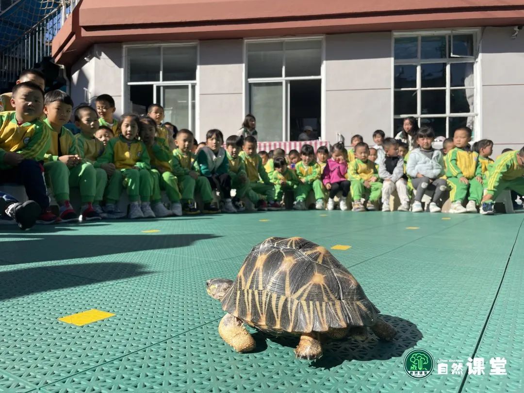 云南野生动物园
