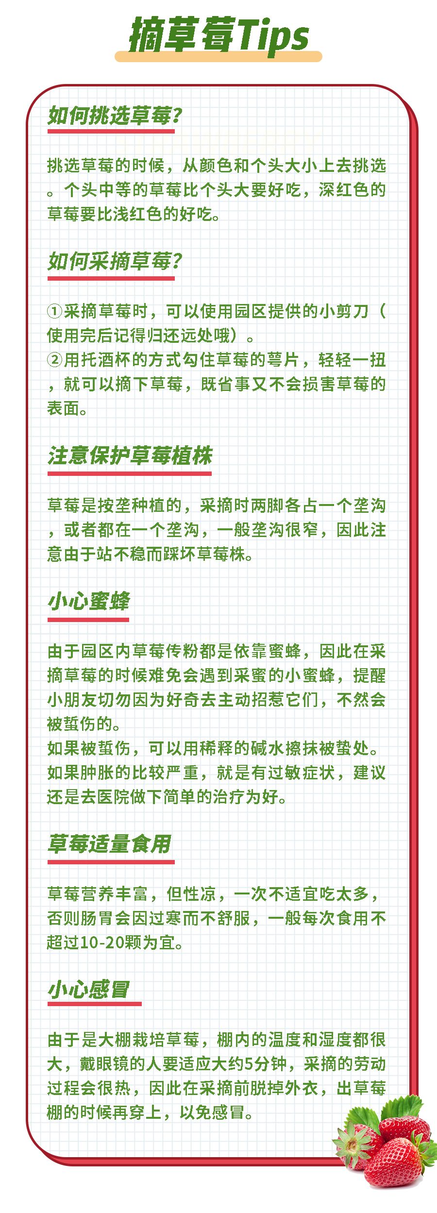 一部手机游云南