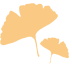 悦读嵩明