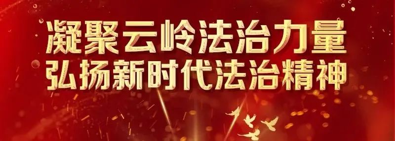 云南法制报