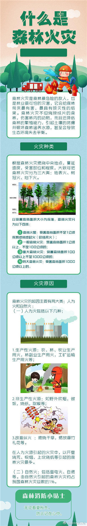 一图看懂森林火灾
