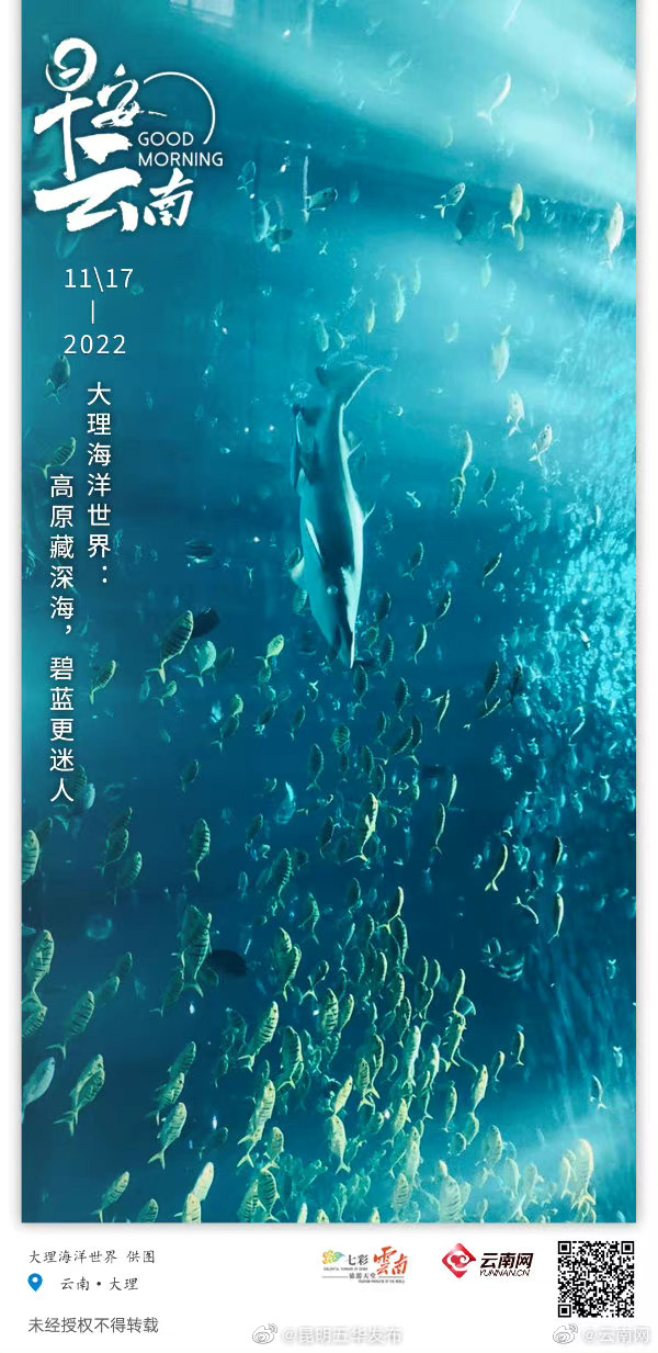 大理海洋世界：高原藏深海，碧蓝更迷人