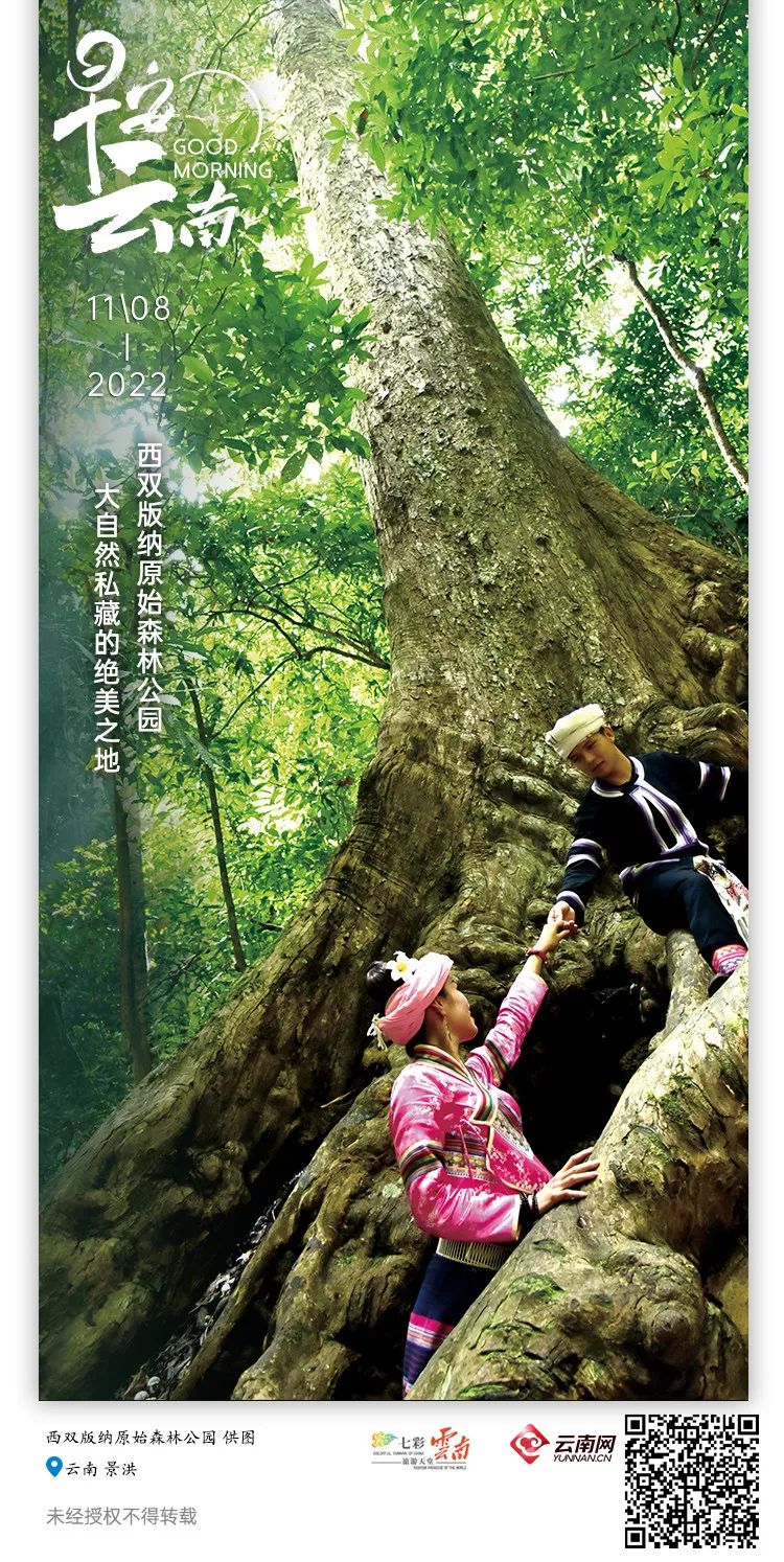 云南省人民政府网