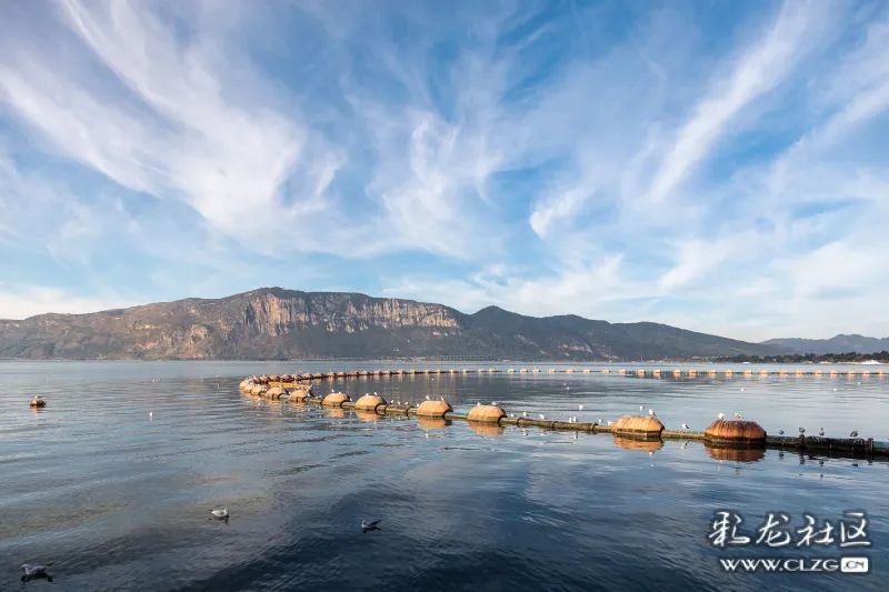 昆明信息港/cnkmxxg