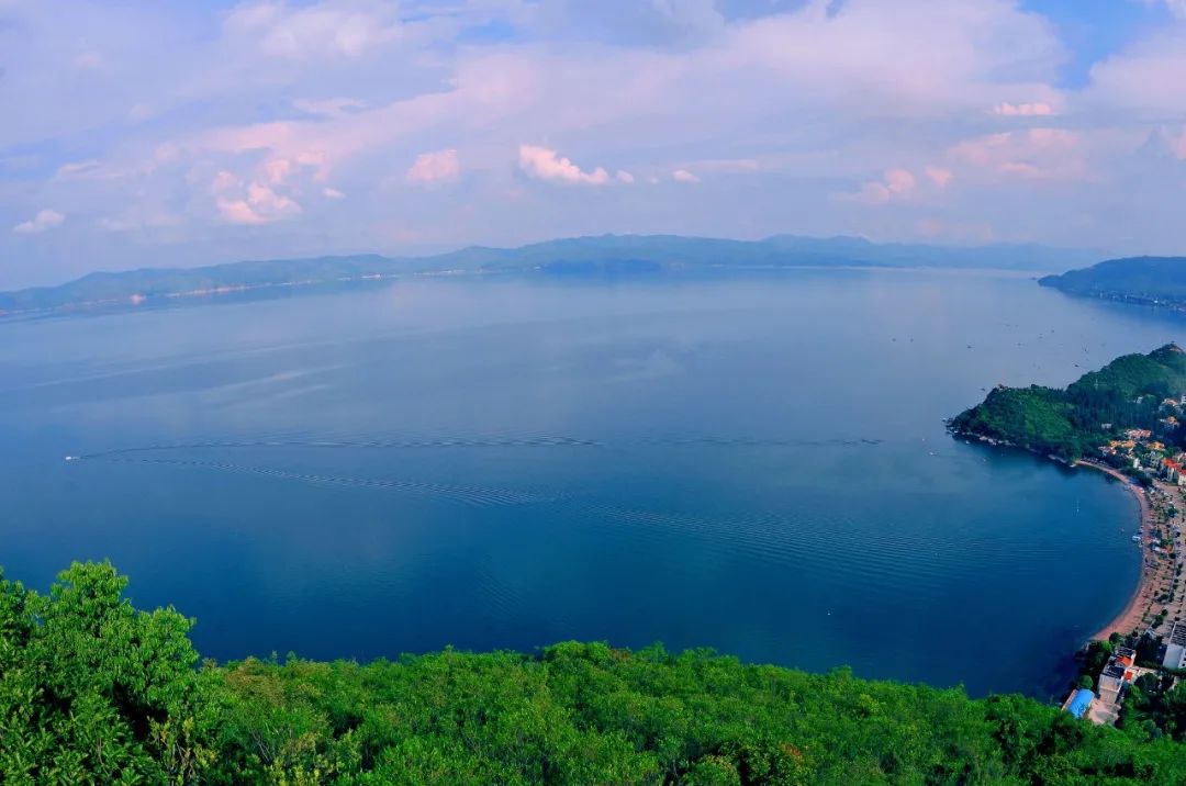 云南省人民政府网