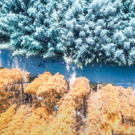 昆明公共文化云