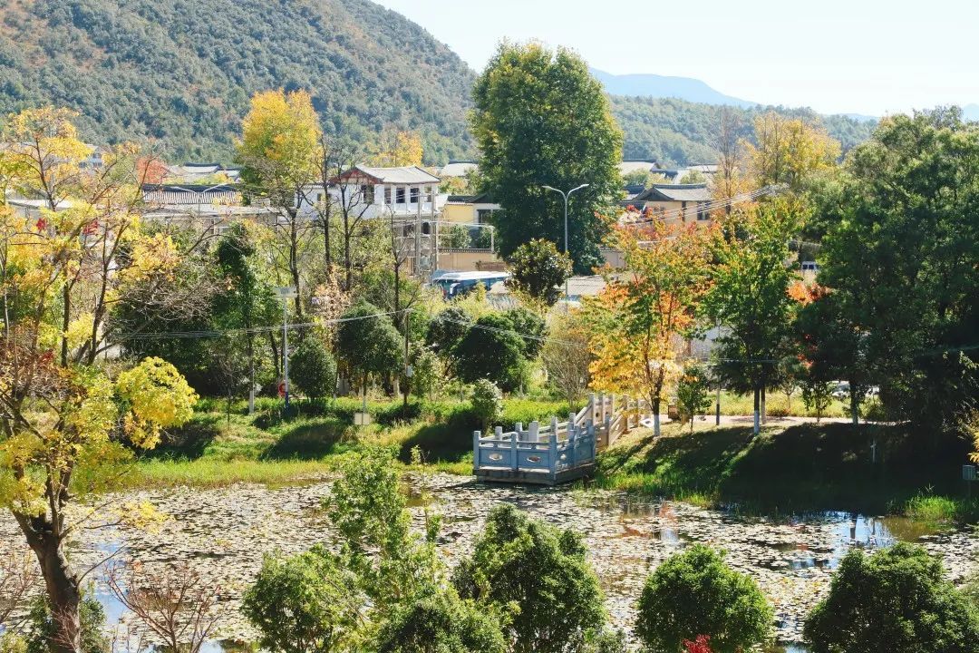 云南省文化和旅游厅