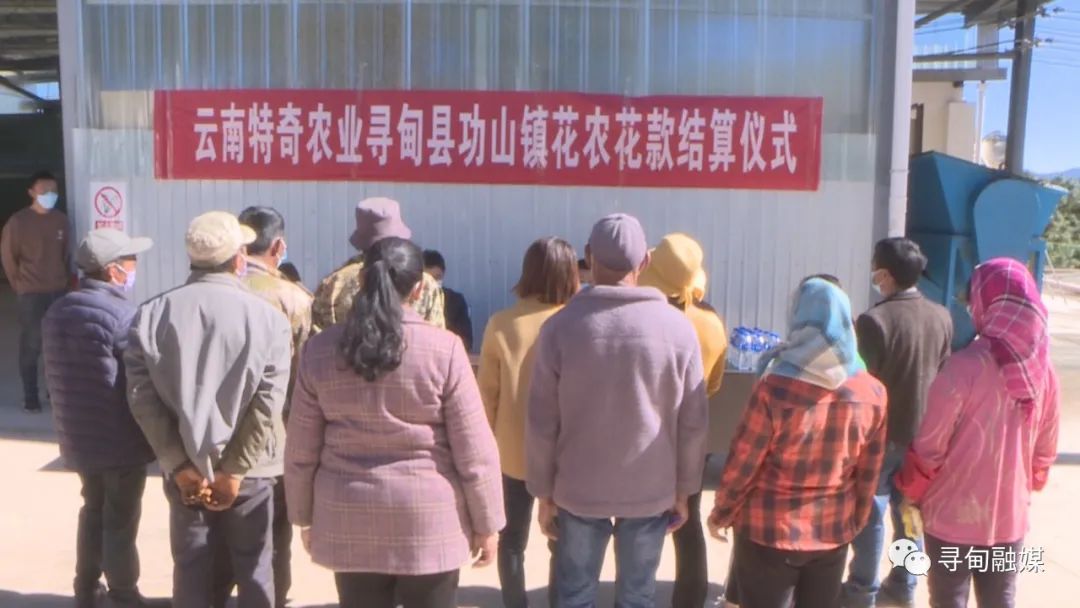 寻甸融媒