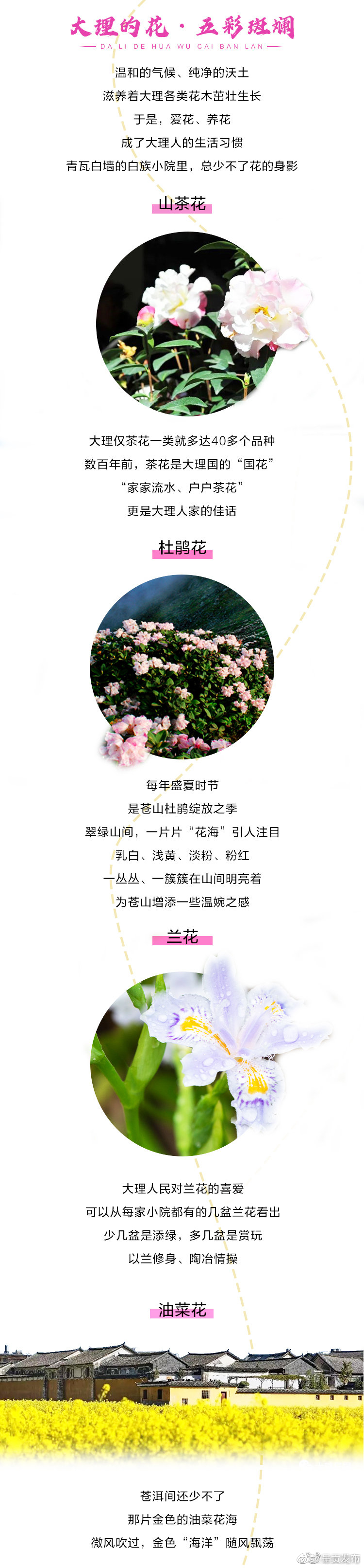 呈贡发布