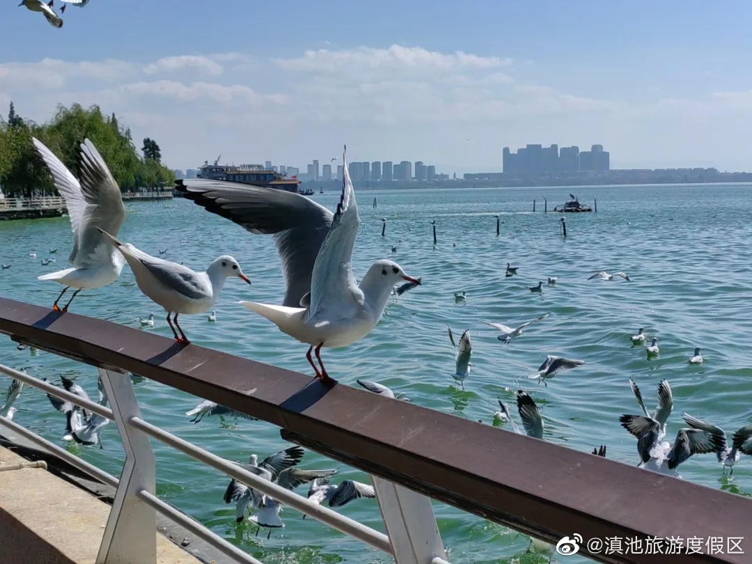 滇池旅游度假区