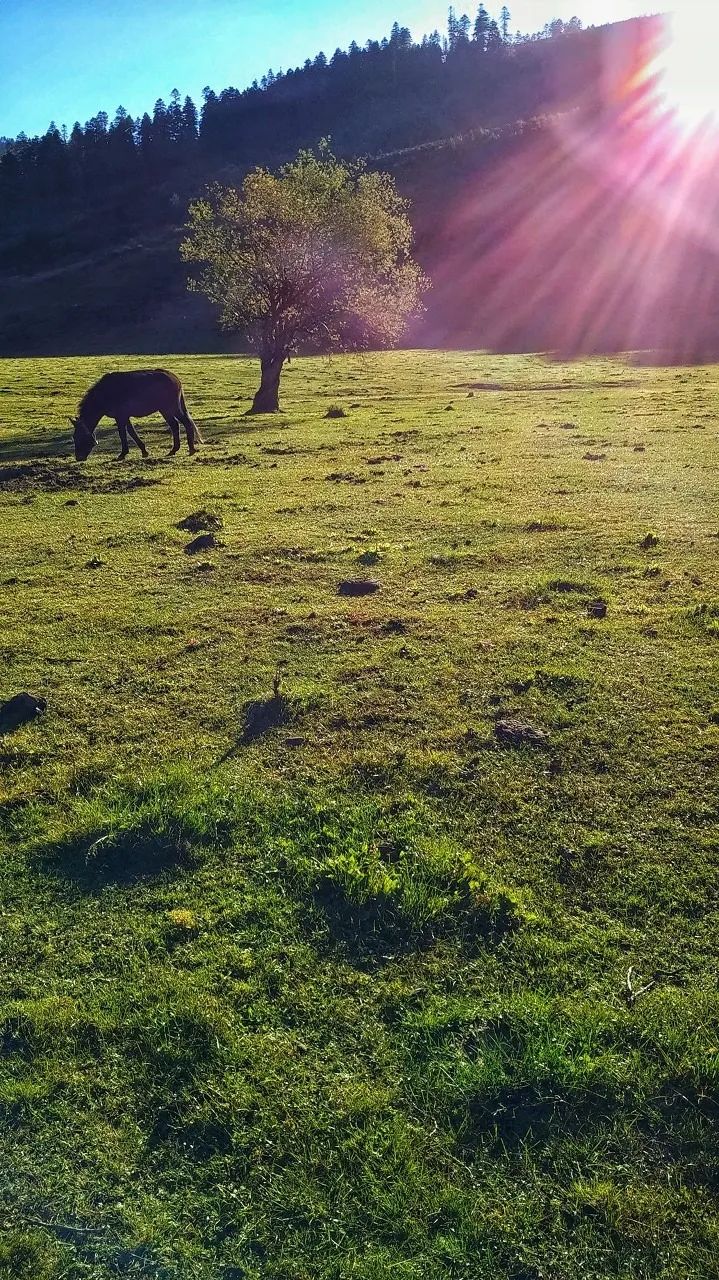 一部手机游云南