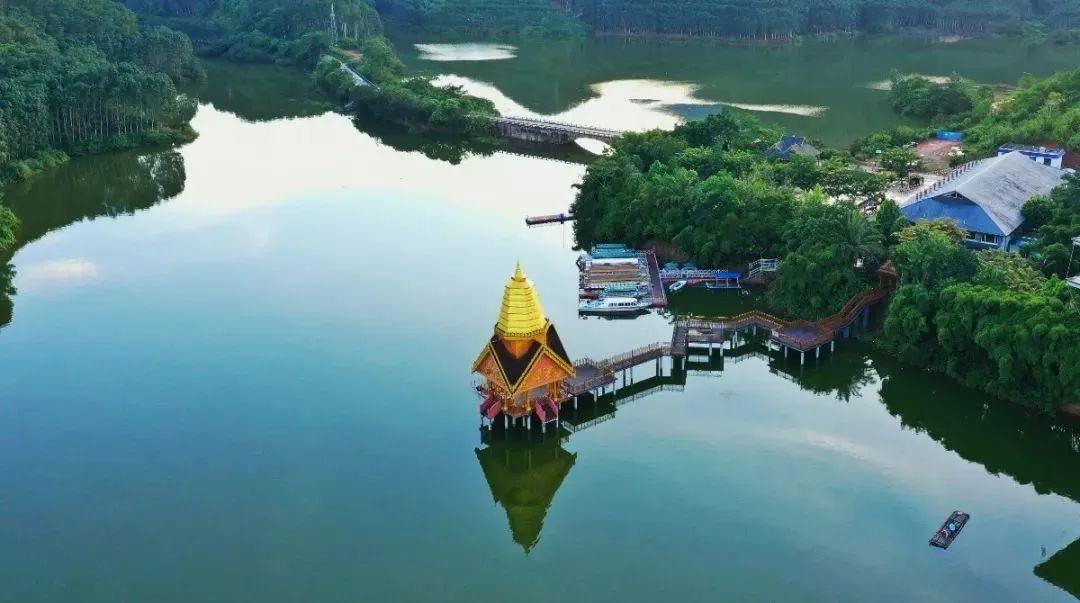 西双版纳望天树景区