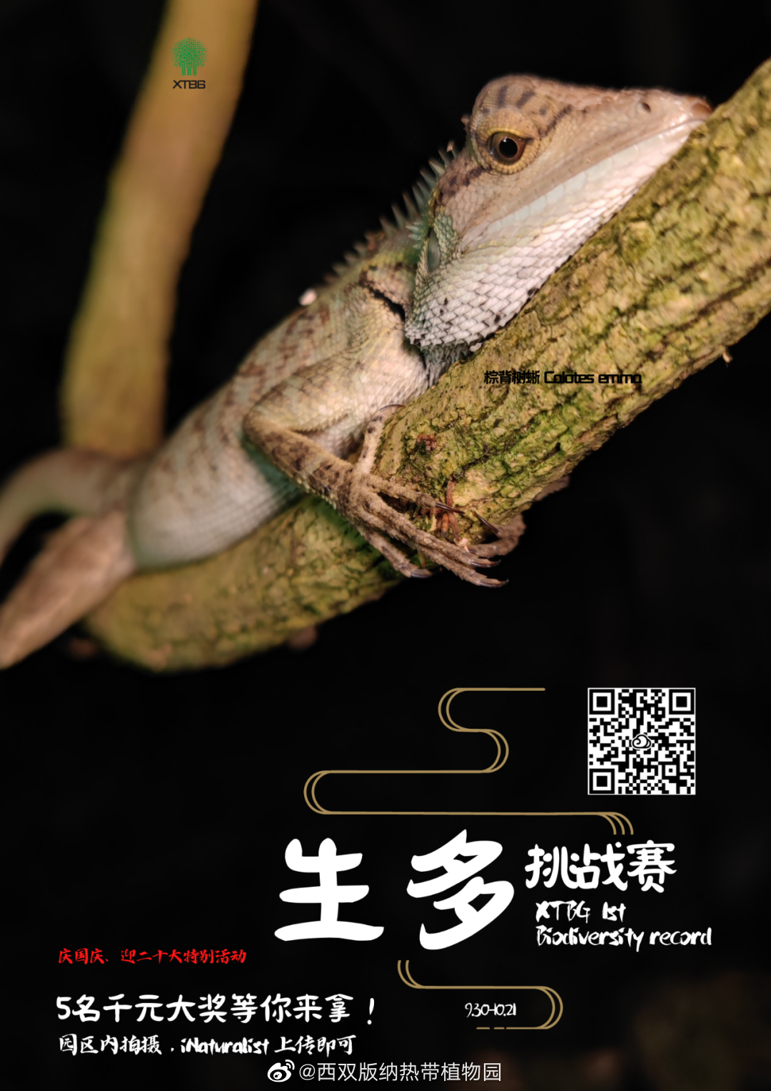 西双版纳热带植物园微博