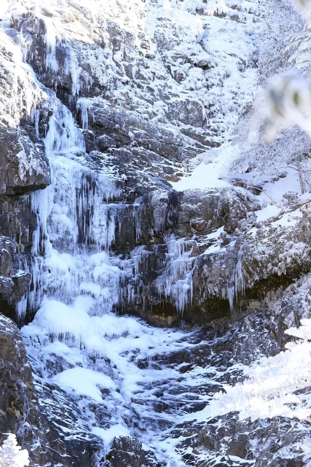 昆明轿子山旅游