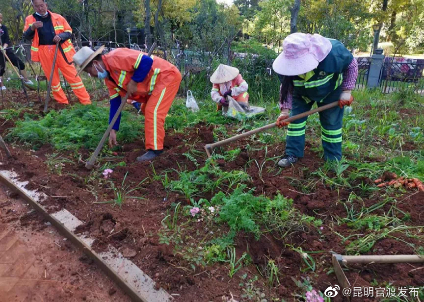 “昆明官渡发布”微博