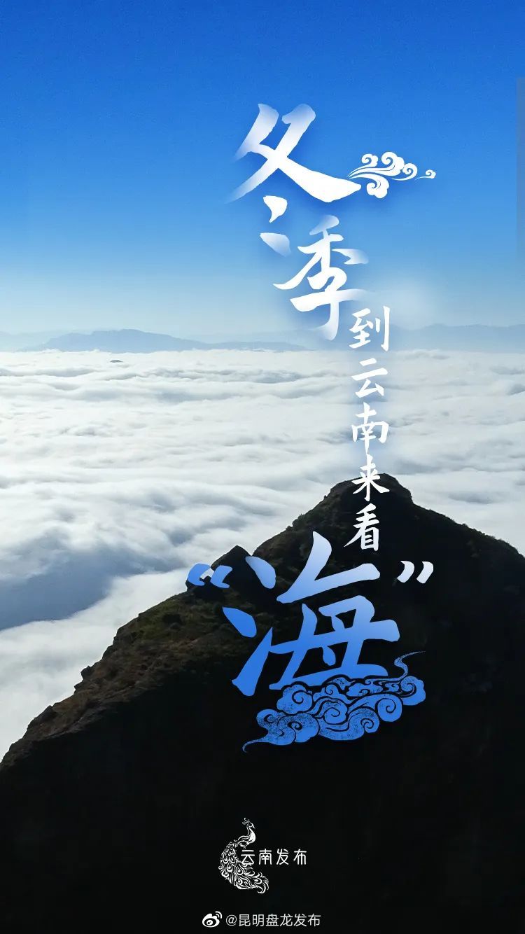 昆明盘龙发布