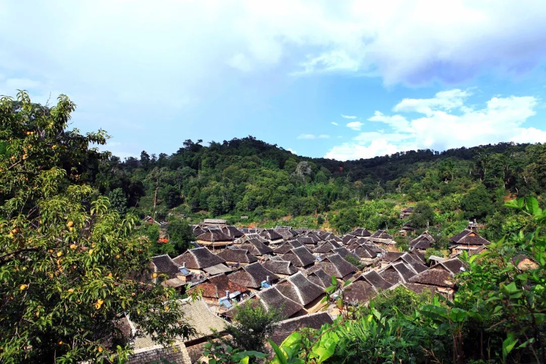 云南省人民政府网