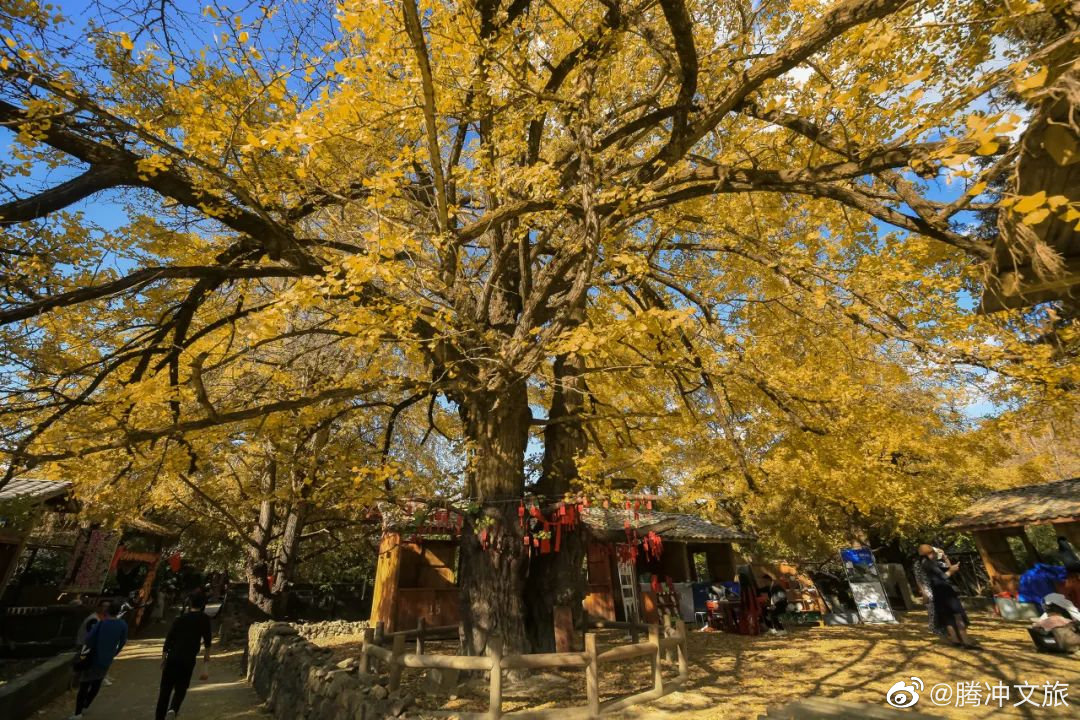 腾冲文旅微博