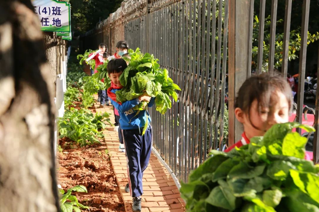 盘龙教育(微信)