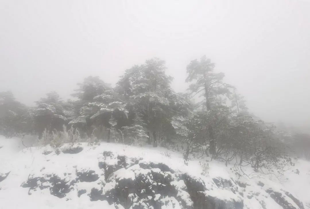 昆明轿子山旅游