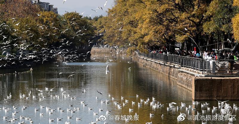 滇池旅游度假区