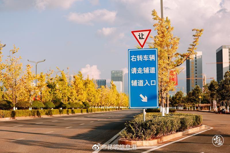 昆明信息港