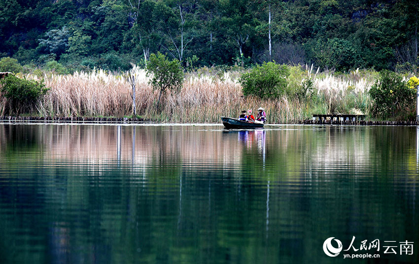 新华网云南频道