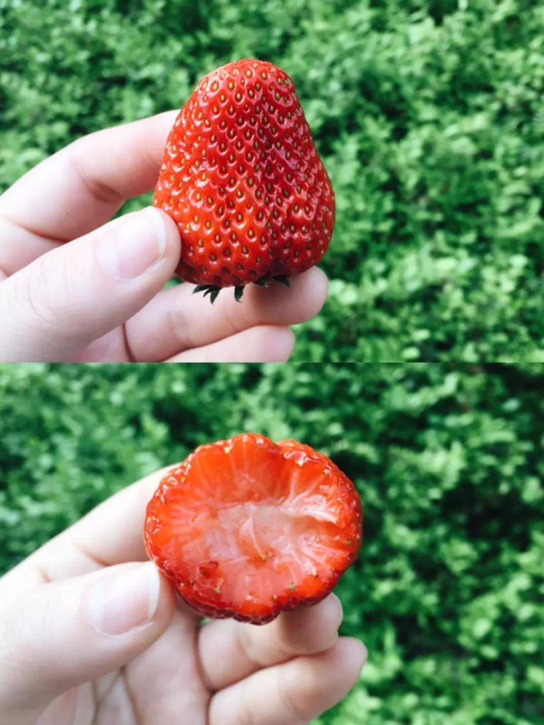 一部手机游云南