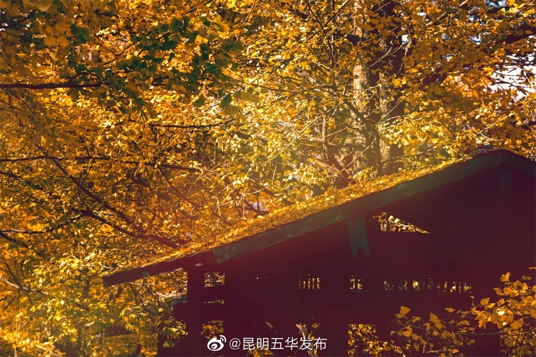 “昆明五华发布”微博