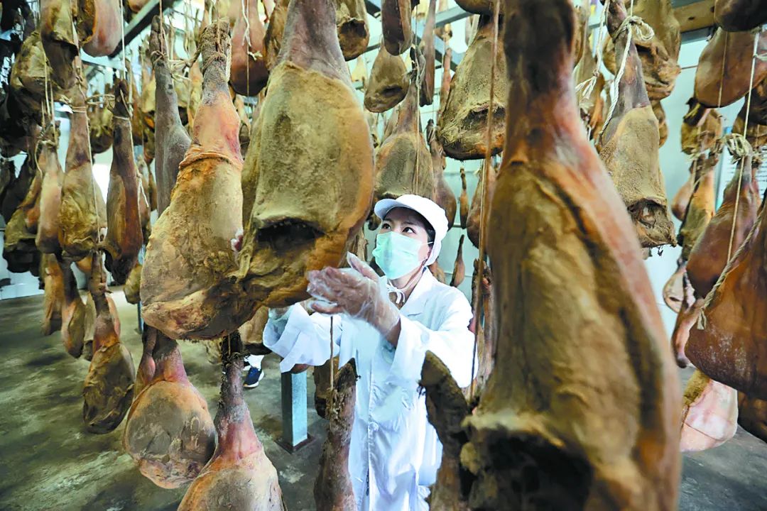 云南省人民政府网