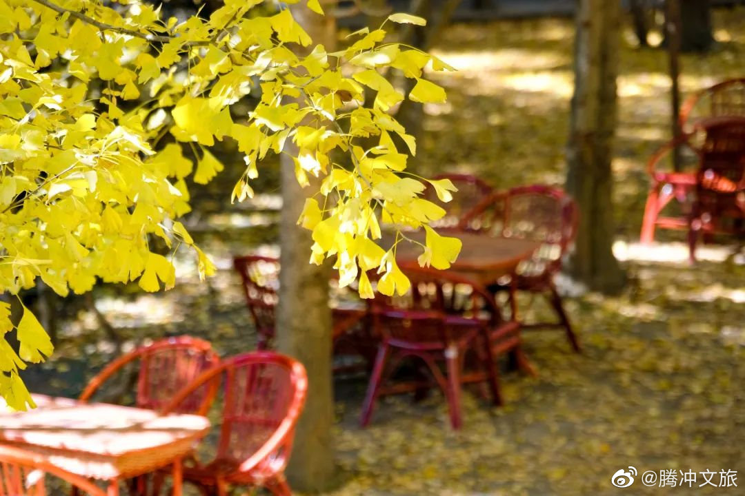 腾冲文旅微博