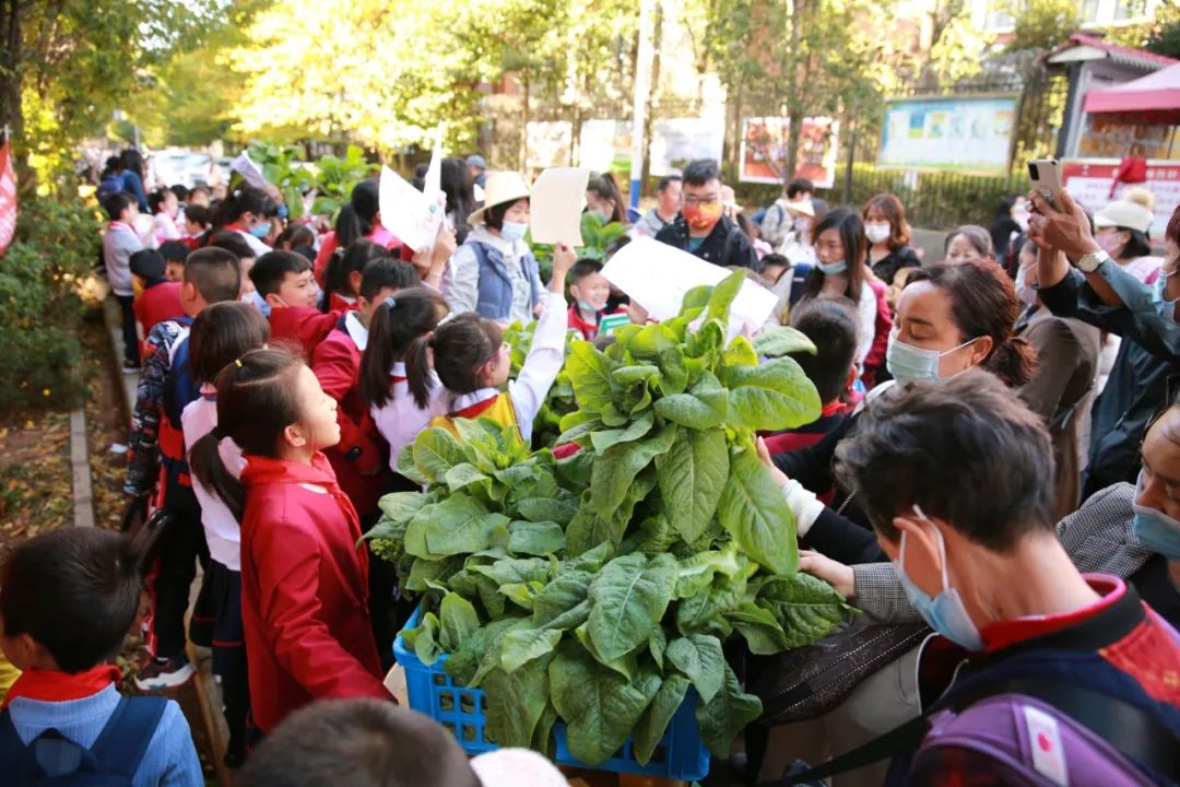 盘龙教育(微信)